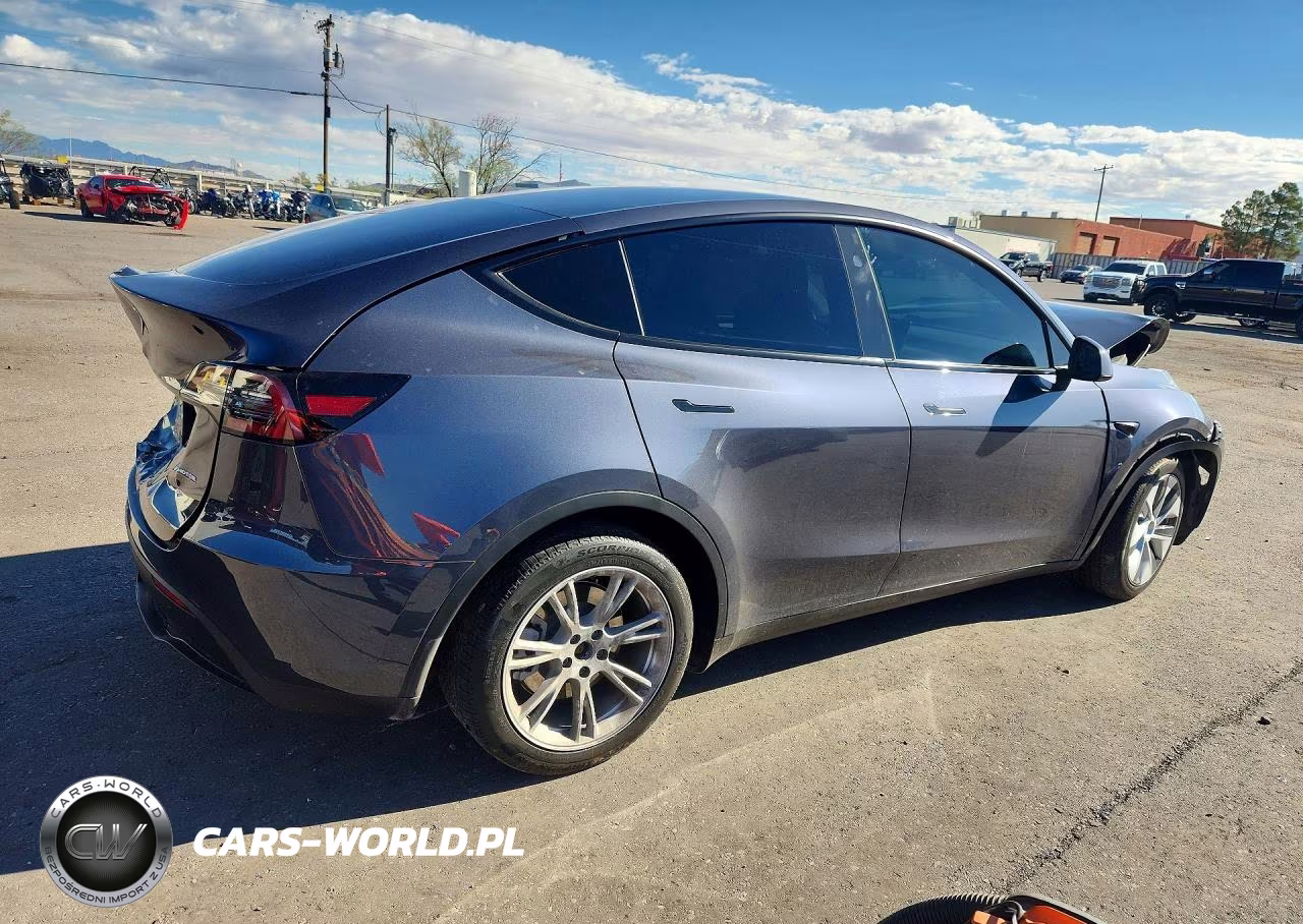 2023 Tesla Model Y VIN:7SAYGDEE8PA191009 - 3