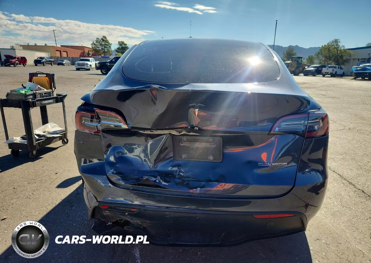 2023 Tesla Model Y VIN:7SAYGDEE8PA191009 - 6