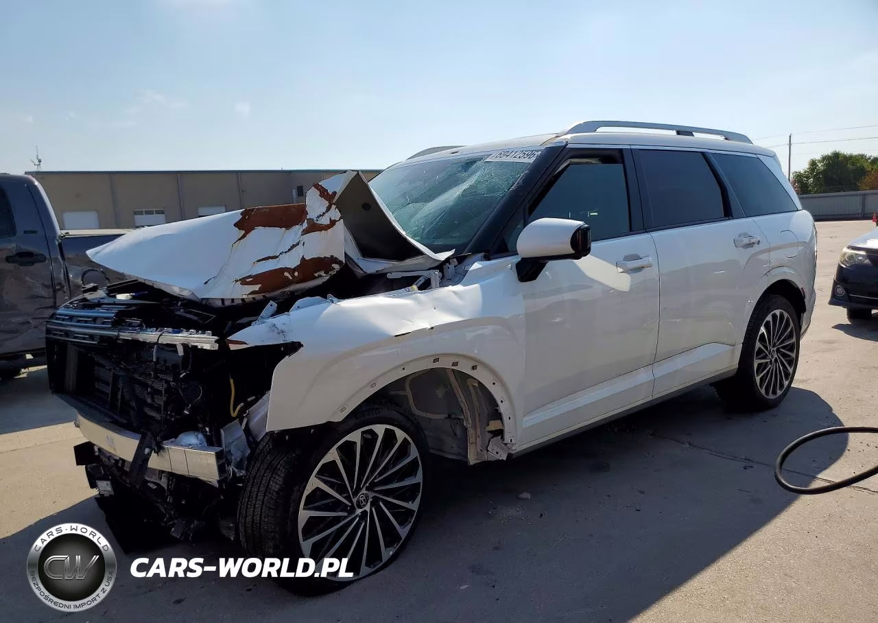 2026 Hyundai Palisade Calligraphy VIN:KM8RM5S27TU047896 - 1