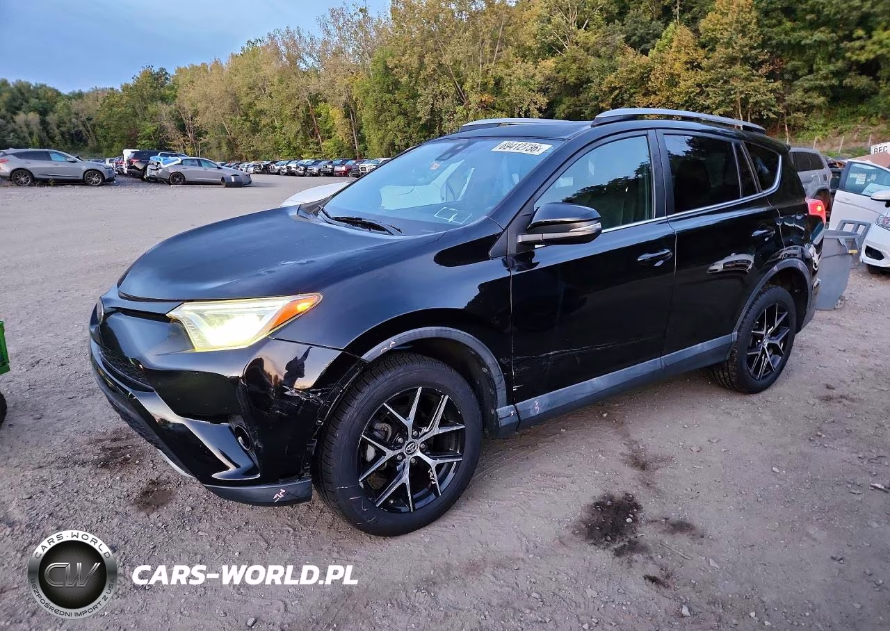 2017 Toyota Rav4 Se