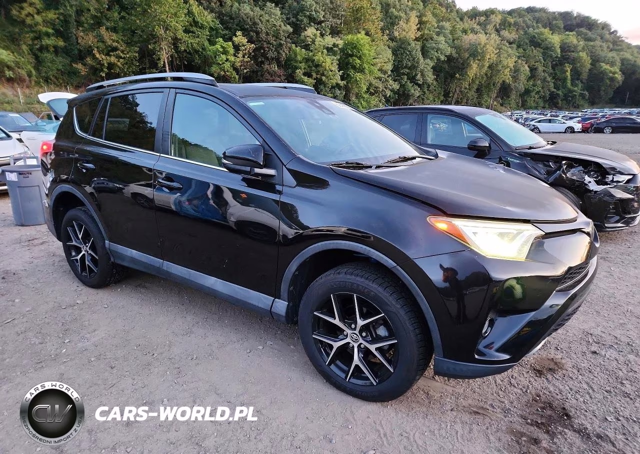 2017 Toyota Rav4 Se VIN:2T3NFREV9HW396031 - 4