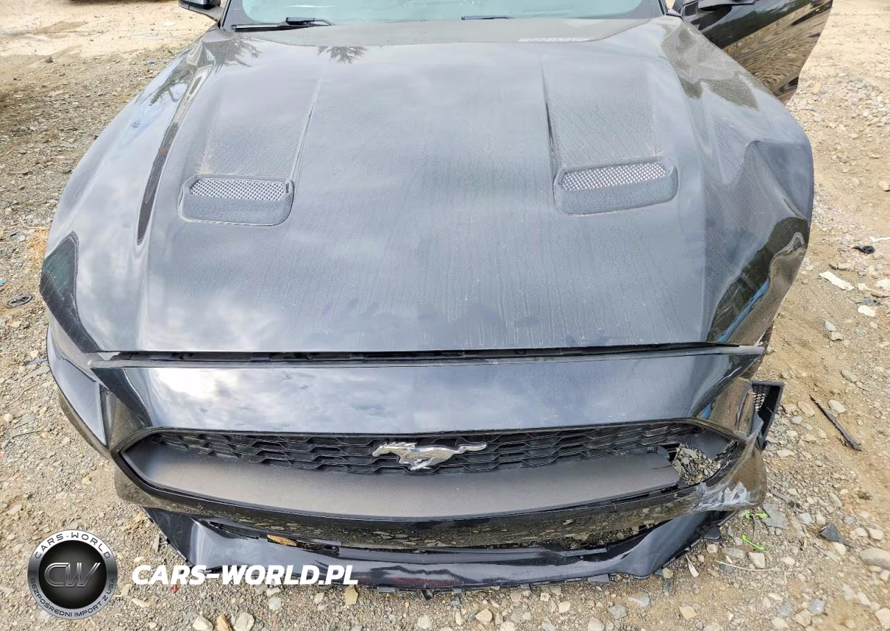 2019 Ford Mustang VIN:1FA6P8THXK5189872 - 11
