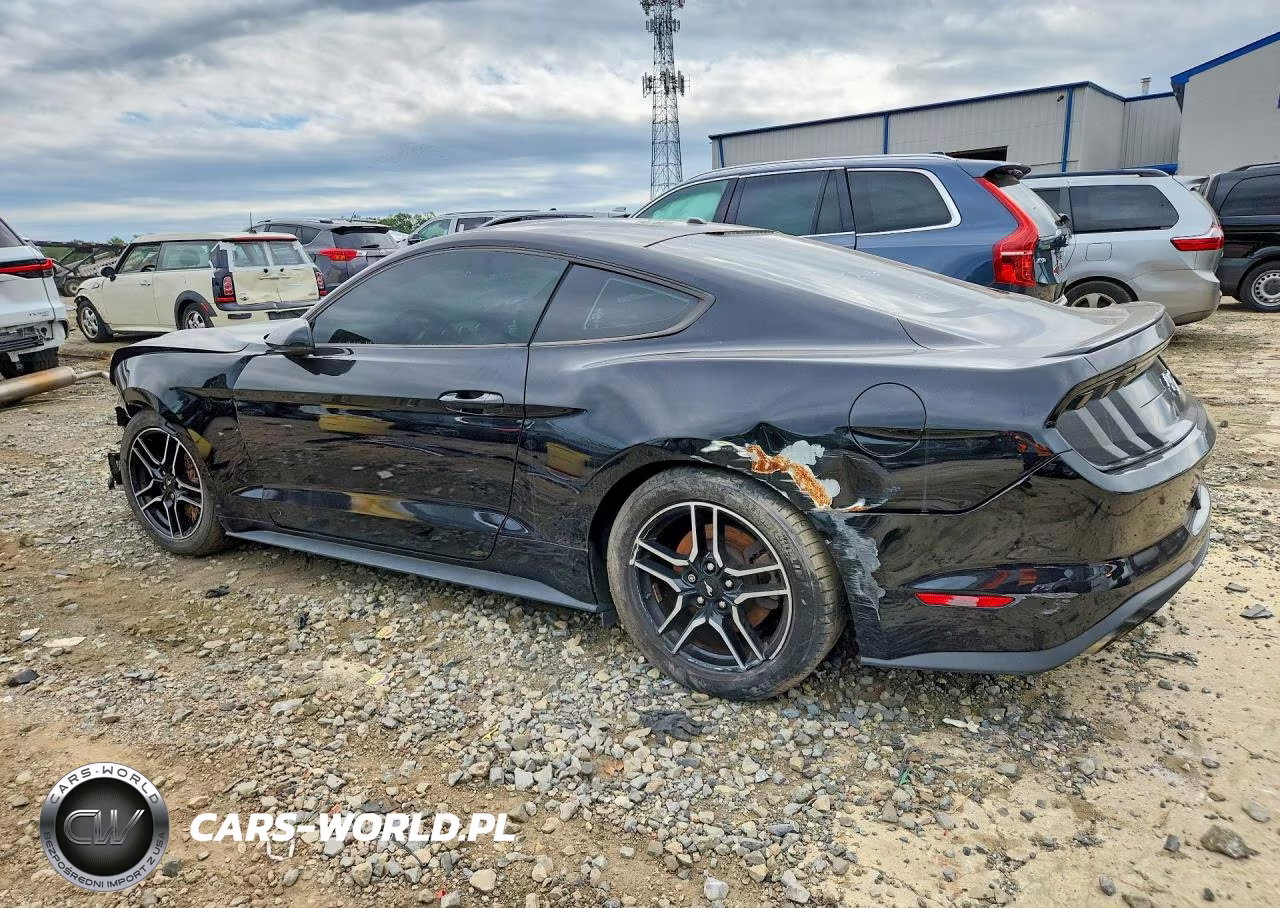 2019 Ford Mustang VIN:1FA6P8THXK5189872 - 2