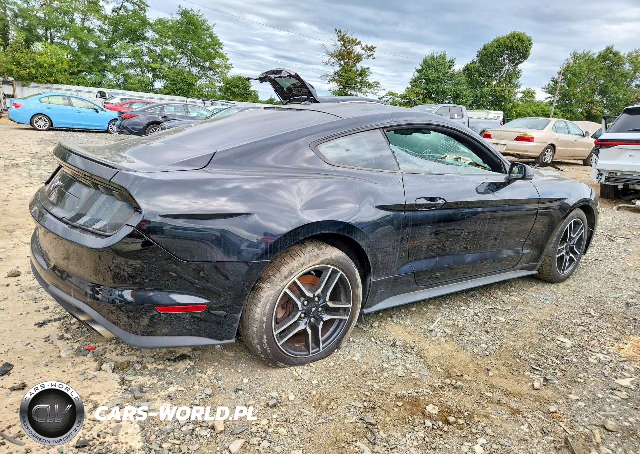 2019 Ford Mustang VIN:1FA6P8THXK5189872 - 3