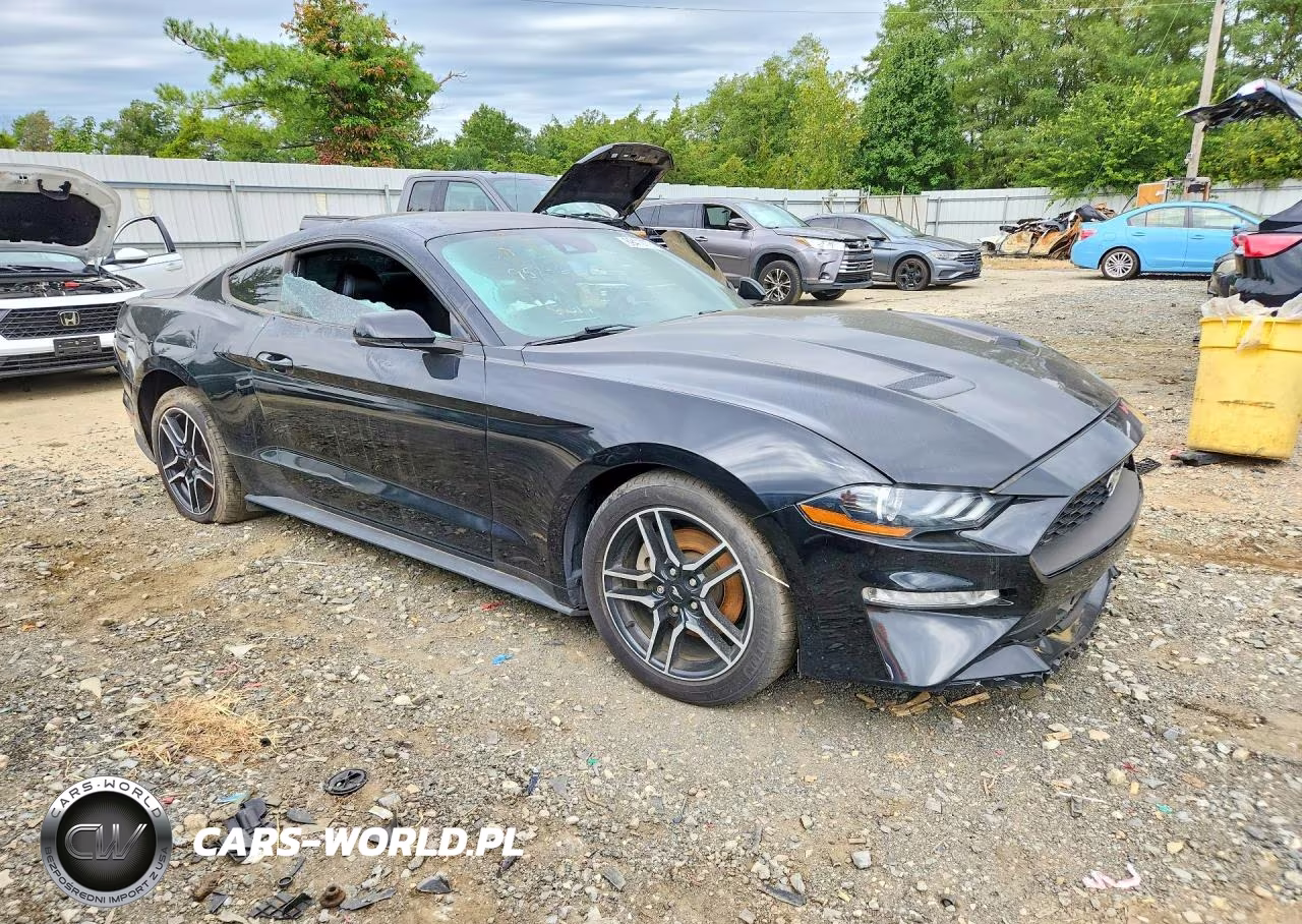 2019 Ford Mustang VIN:1FA6P8THXK5189872 - 4