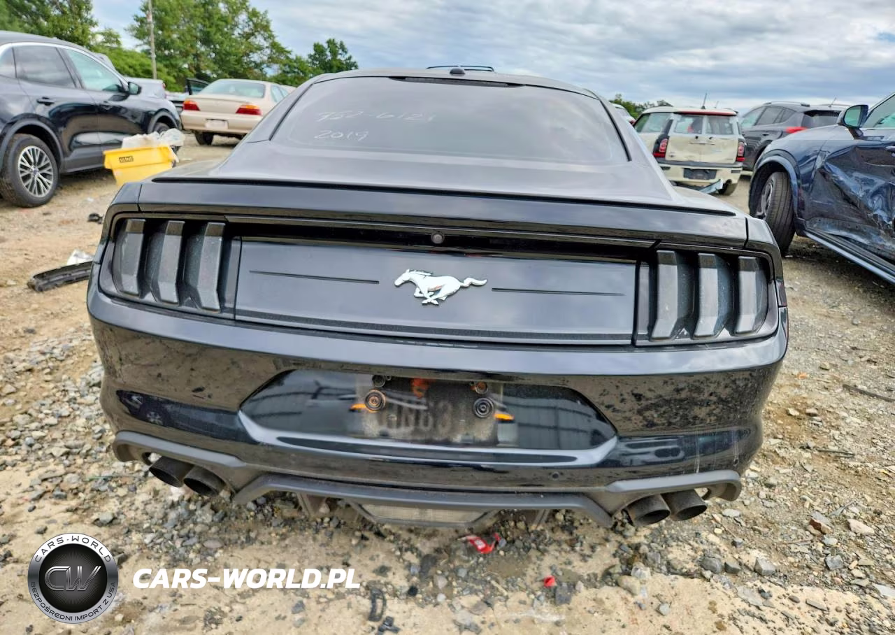 2019 Ford Mustang VIN:1FA6P8THXK5189872 - 6