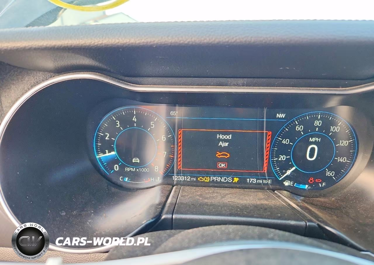 2019 Ford Mustang VIN:1FA6P8THXK5189872 - 9