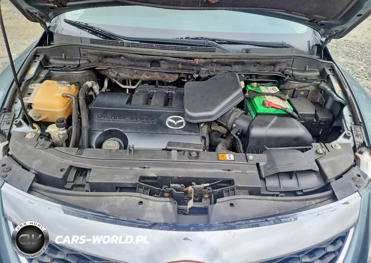 2010 Mazda Cx-9 VIN:JM3TB3MV5A0214263 - 12