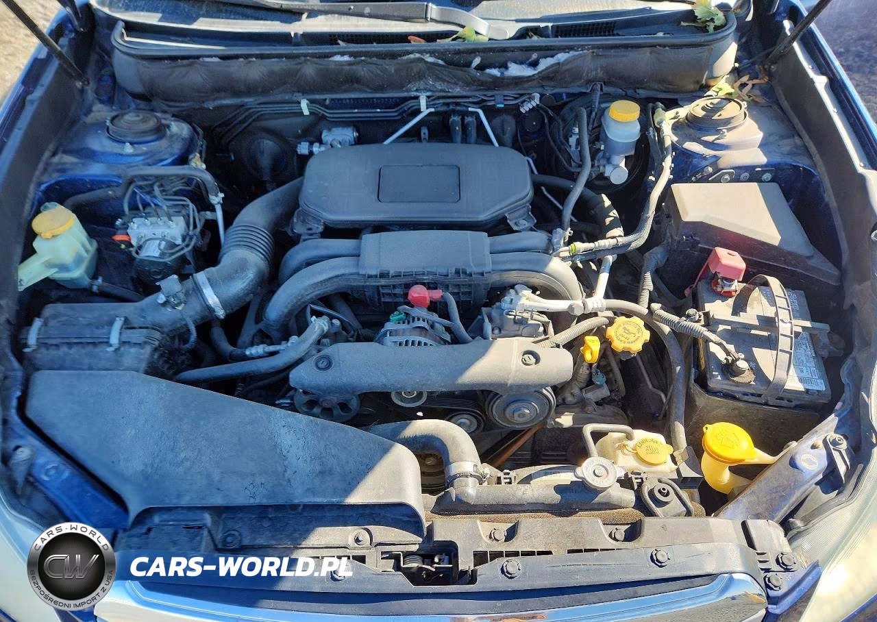 2010 Subaru Outback 2.5I Premium VIN:4S4BRBCC9A3343739 - 12