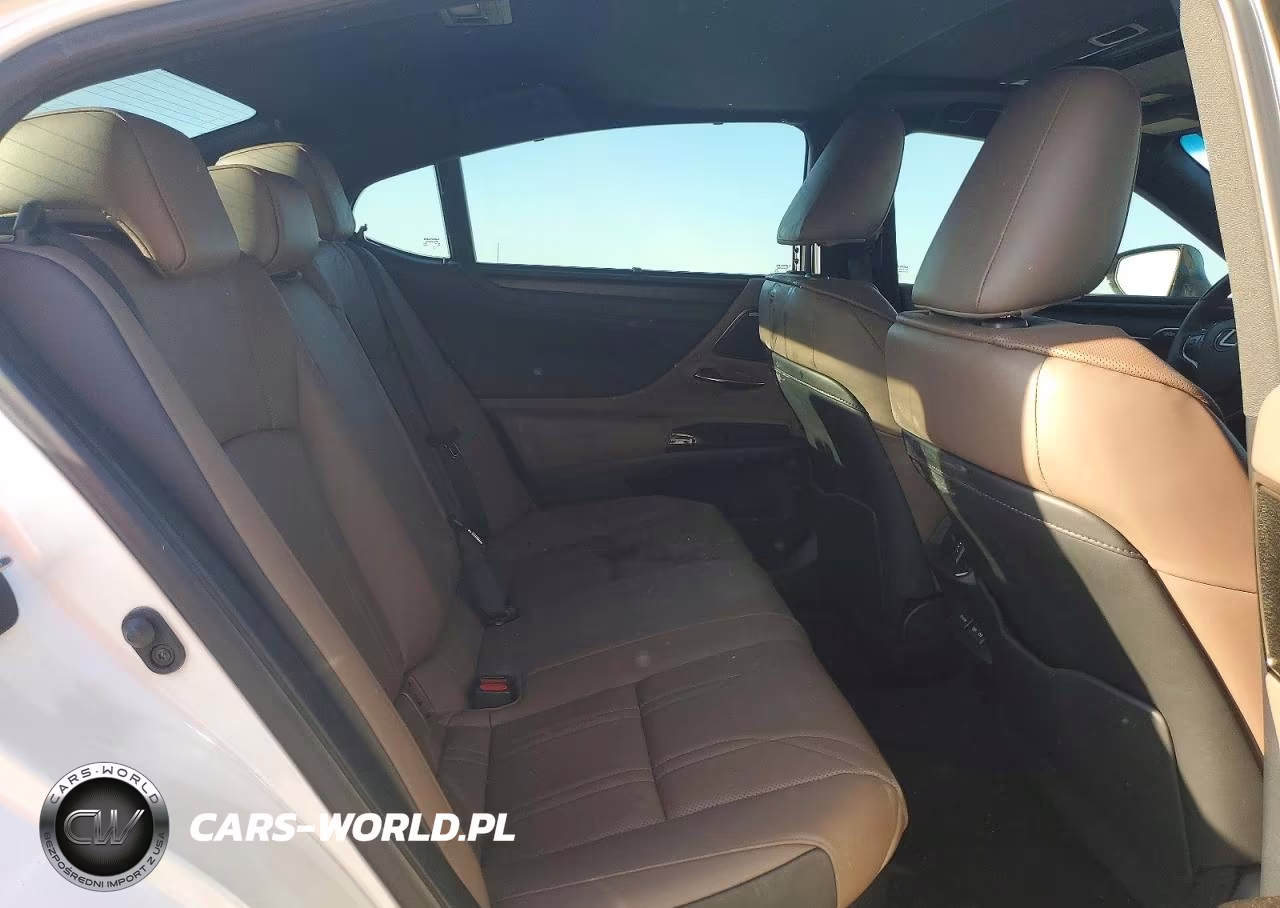 2023 Lexus Es 300H Ultra Luxury VIN:58AFA1C19PU036097 - 10