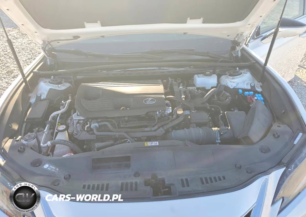 2023 Lexus Es 300H Ultra Luxury VIN:58AFA1C19PU036097 - 11