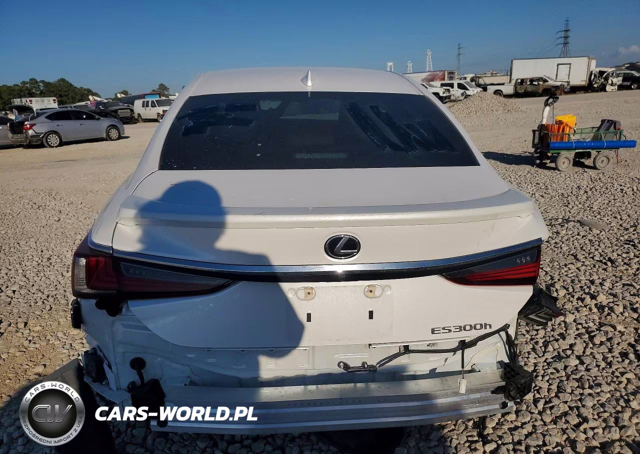 2023 Lexus Es 300H Ultra Luxury VIN:58AFA1C19PU036097 - 6