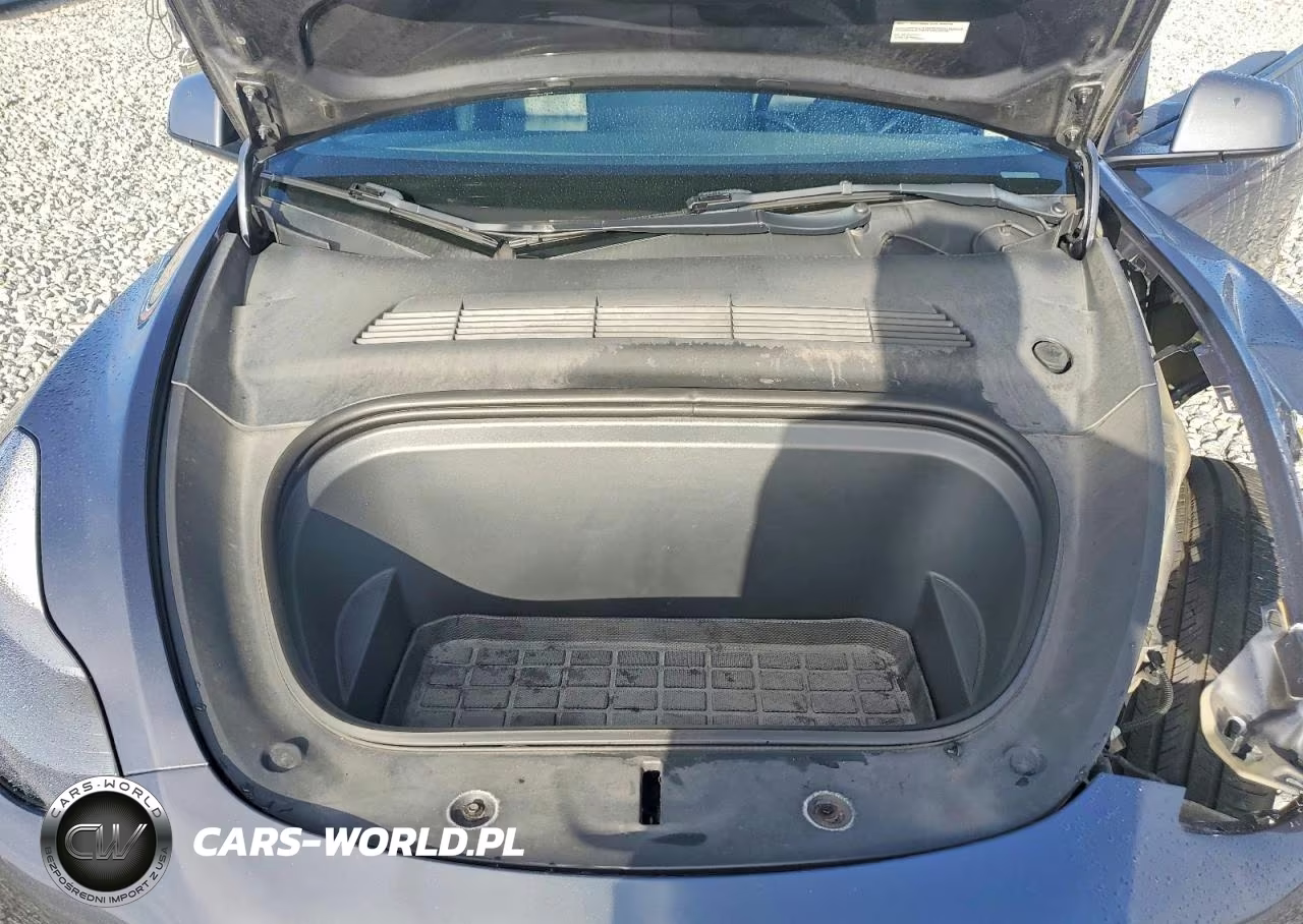 2023 Tesla Model Y VIN:7SAYGDEF6PF582459 - 11