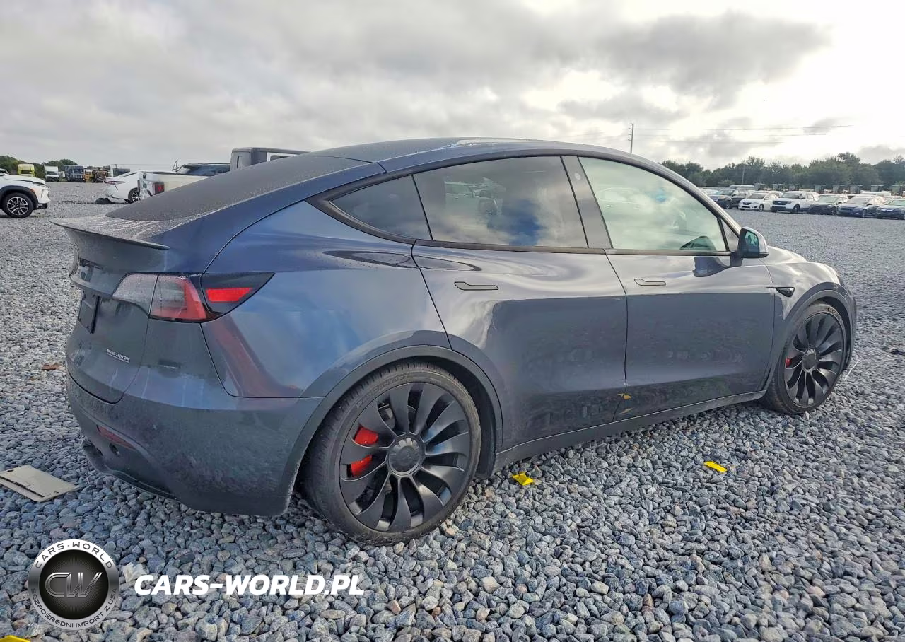 2023 Tesla Model Y VIN:7SAYGDEF6PF582459 - 3