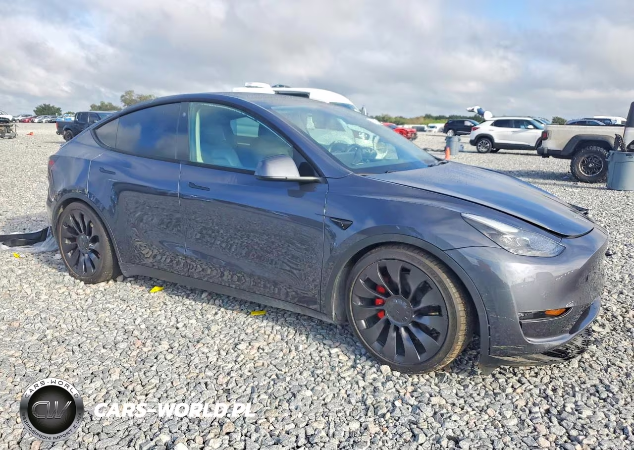 2023 Tesla Model Y VIN:7SAYGDEF6PF582459 - 4