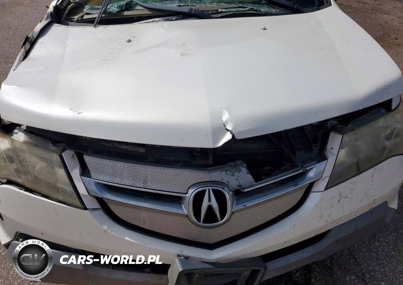 2007 Acura Mdx Technology VIN:2HNYD28417H549278 - 11