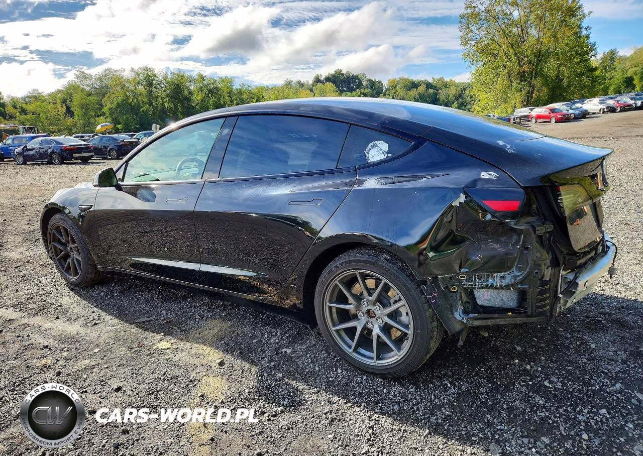 2021 Tesla Model 3 VIN:5YJ3E1EB0MF992565 - 2