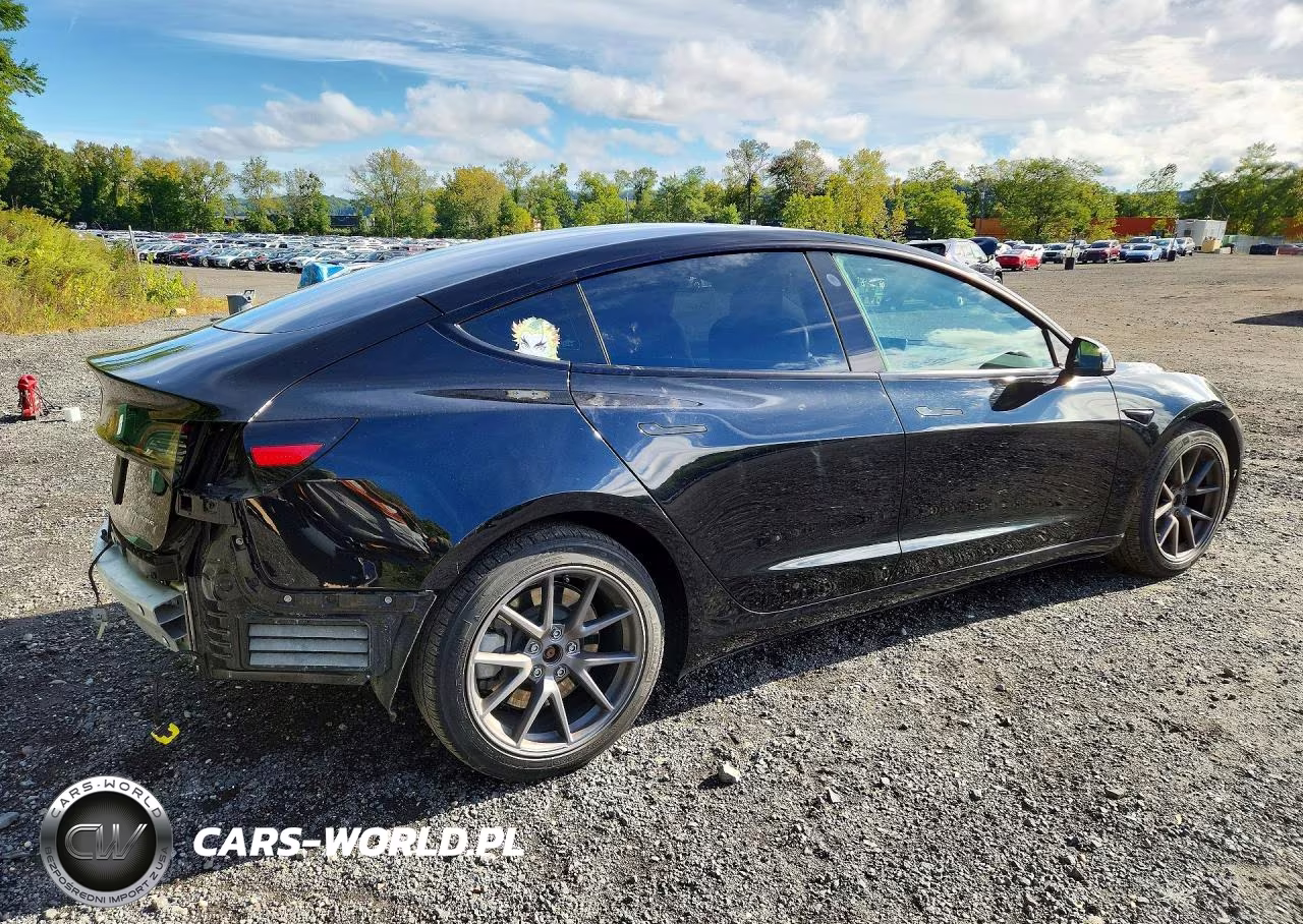 2021 Tesla Model 3 VIN:5YJ3E1EB0MF992565 - 3