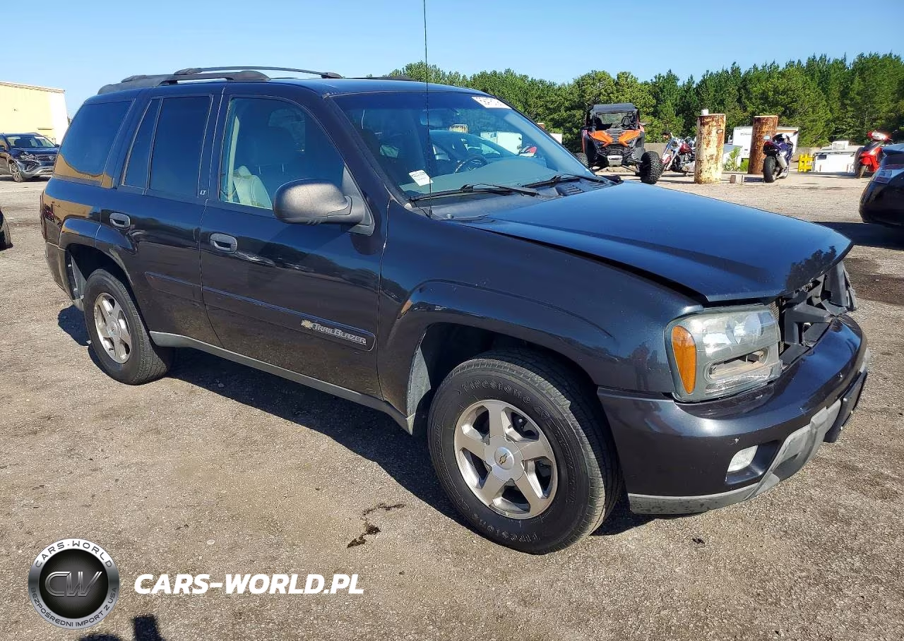 2003 Chevrolet Trailblazer VIN:1GNDS13S932243305 - 4