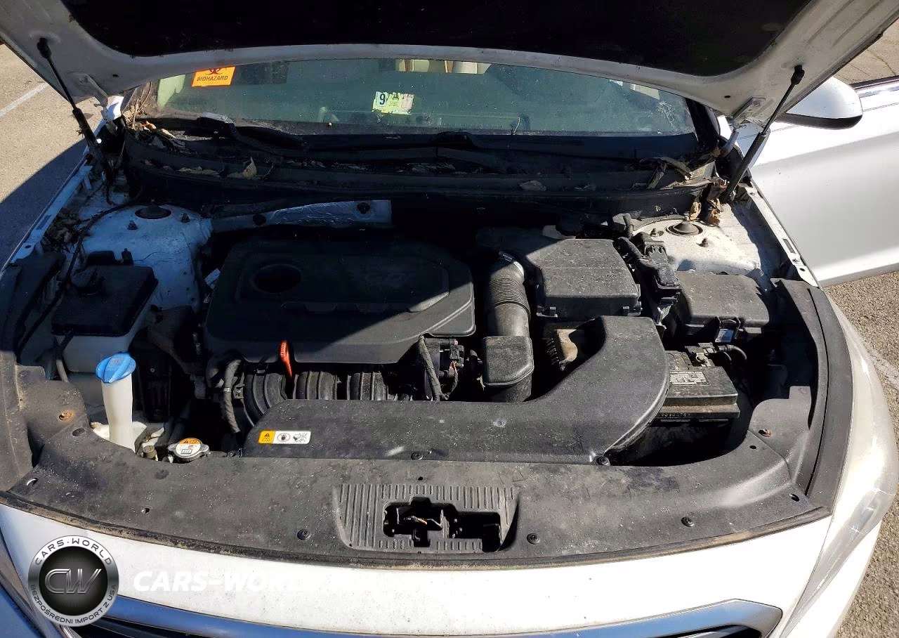 2015 Hyundai Sonata Se VIN:5NPE24AF8FH016551 - 11