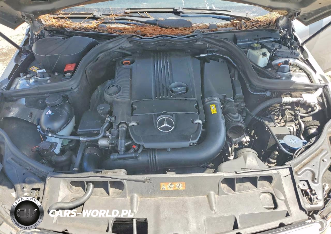 2013 Mercedes-Benz C 250 VIN:WDDGJ4HB9DG060046 - 11