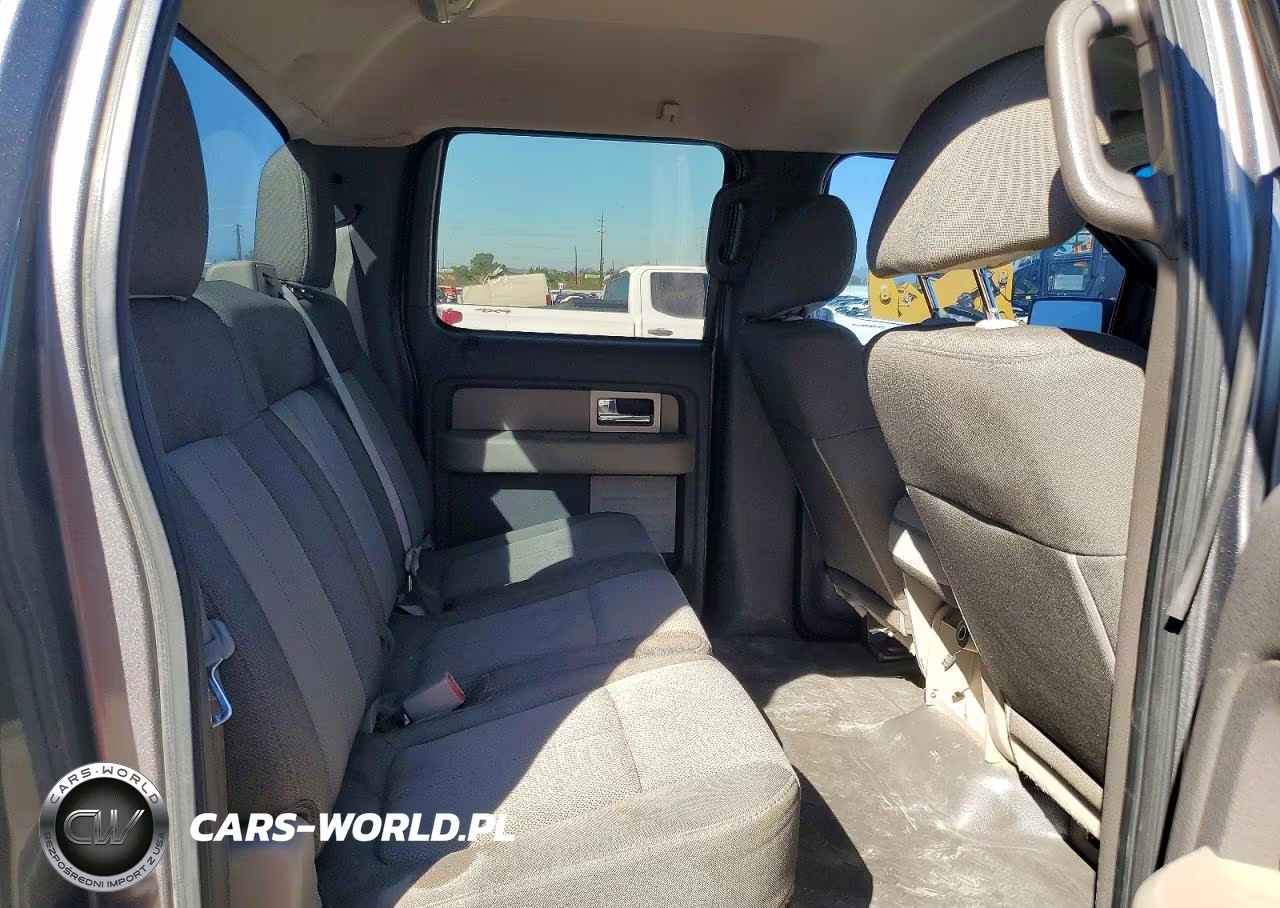 2010 Ford F150 Supercrew VIN:1FTEW1C81AFD04836 - 10