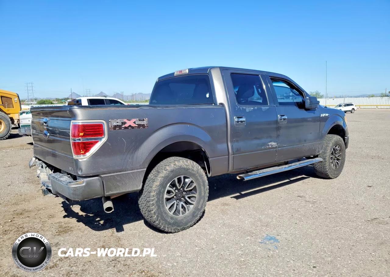 2010 Ford F150 Supercrew VIN:1FTEW1C81AFD04836 - 3