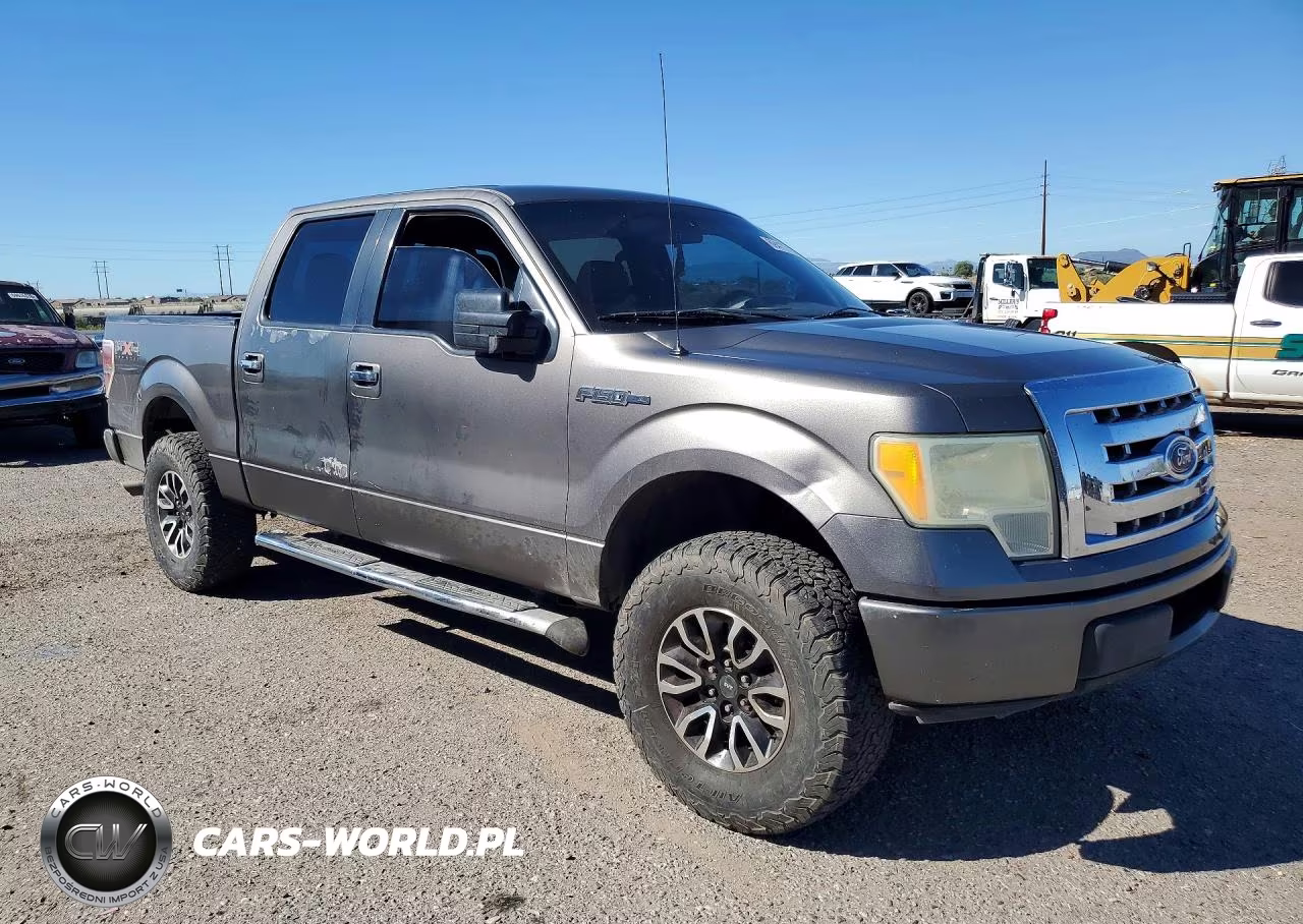 2010 Ford F150 Supercrew VIN:1FTEW1C81AFD04836 - 4