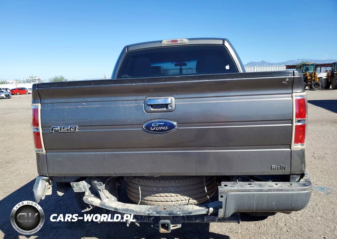 2010 Ford F150 Supercrew VIN:1FTEW1C81AFD04836 - 6