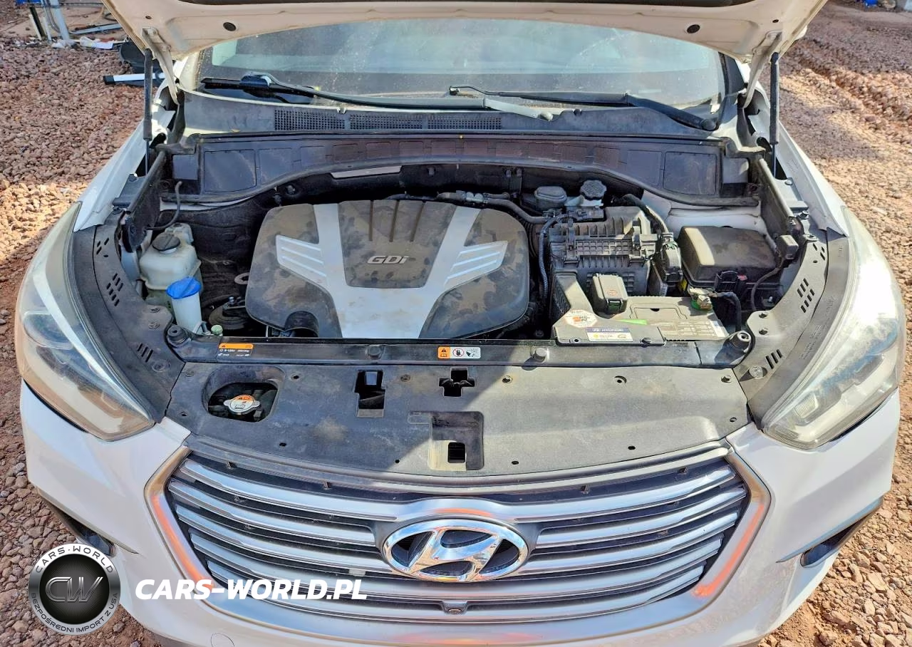 2018 Hyundai Santa Fe Limited Ultimate VIN:KM8SR4HF4JU292319 - 12