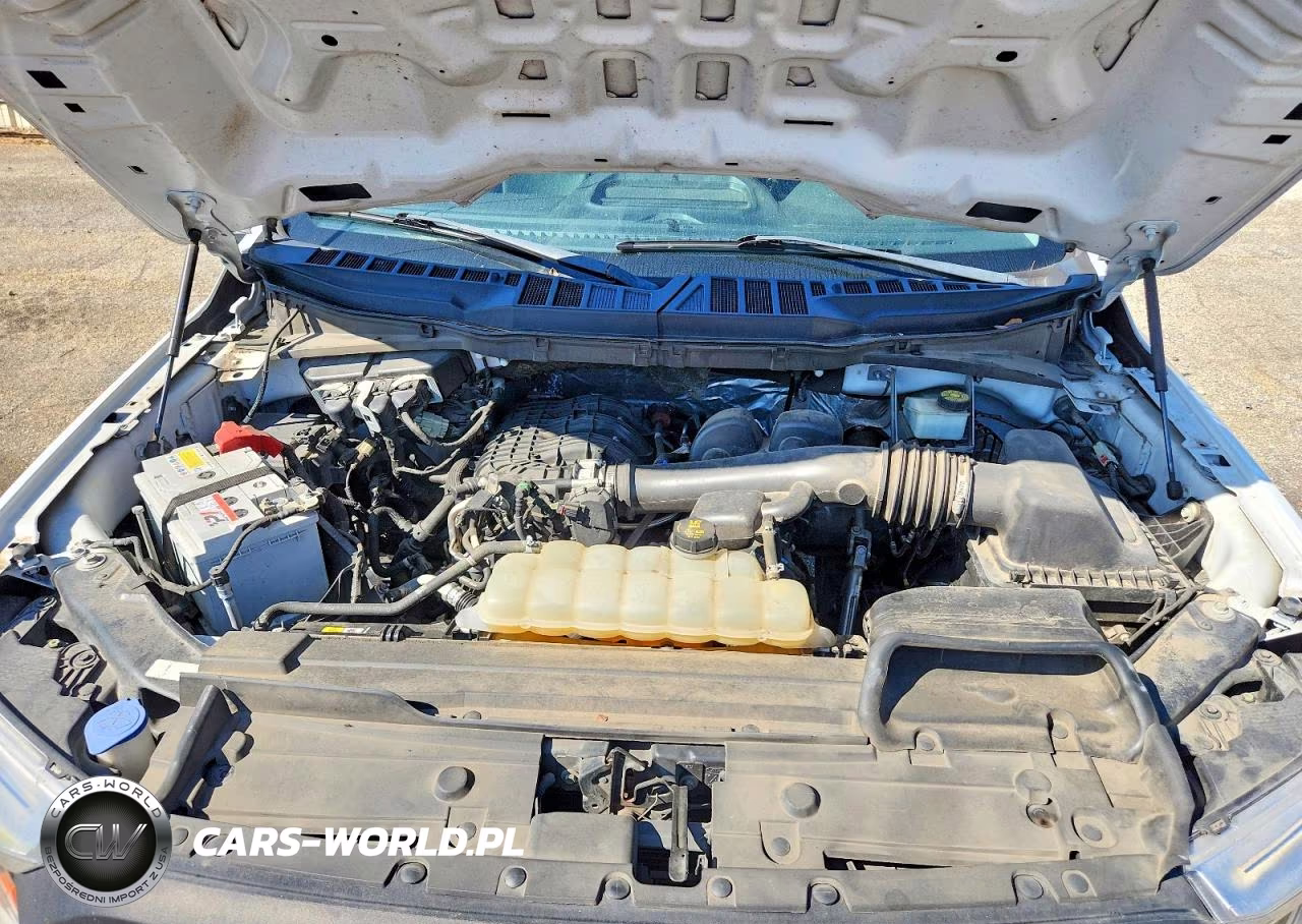 2021 Ford F150 VIN:1FTMF1CBXMKE94073 - 11