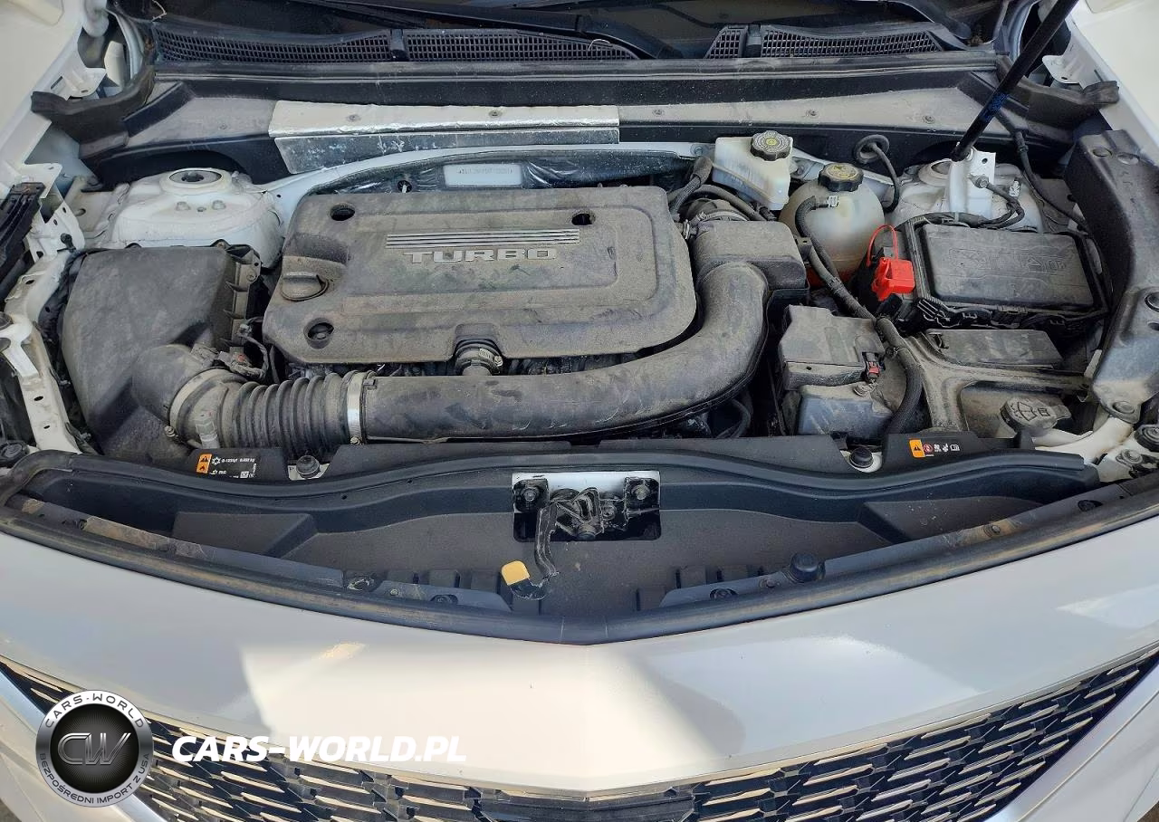2019 Cadillac Xt4 Luxury VIN:1GYFZBR41KF162201 - 12