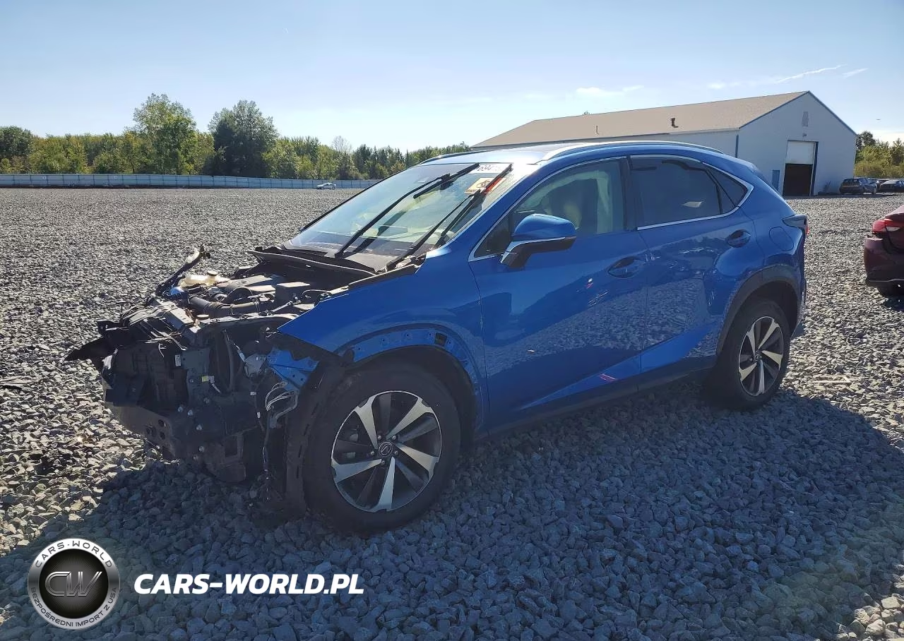 2019 Lexus Nx 300 Base VIN:JTJBARBZ6K2201105 - 1