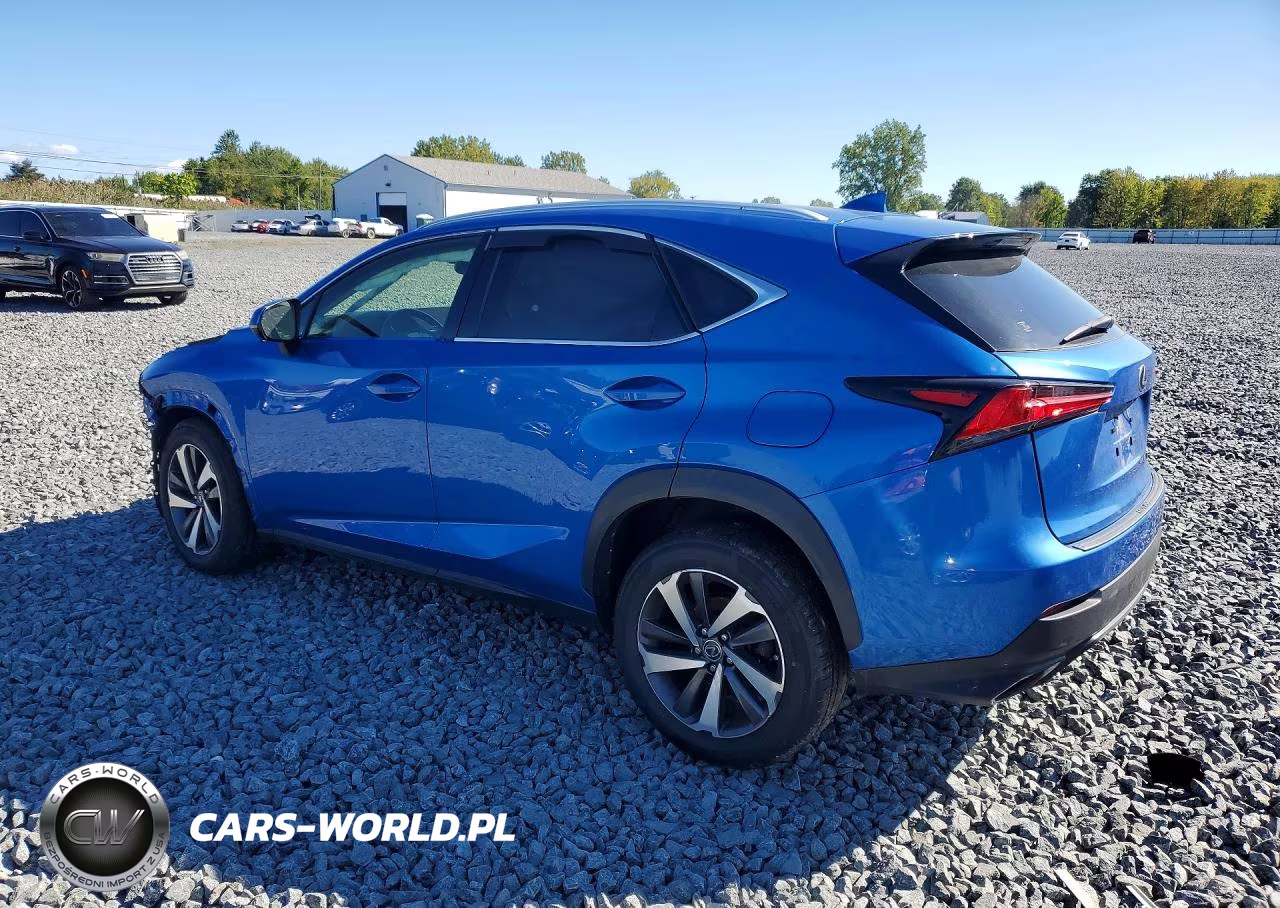 2019 Lexus Nx 300 Base VIN:JTJBARBZ6K2201105 - 2