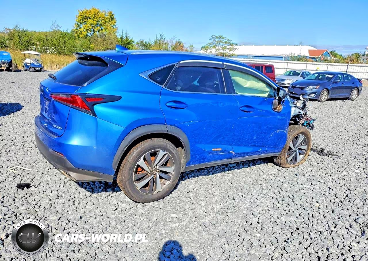 2019 Lexus Nx 300 Base VIN:JTJBARBZ6K2201105 - 3