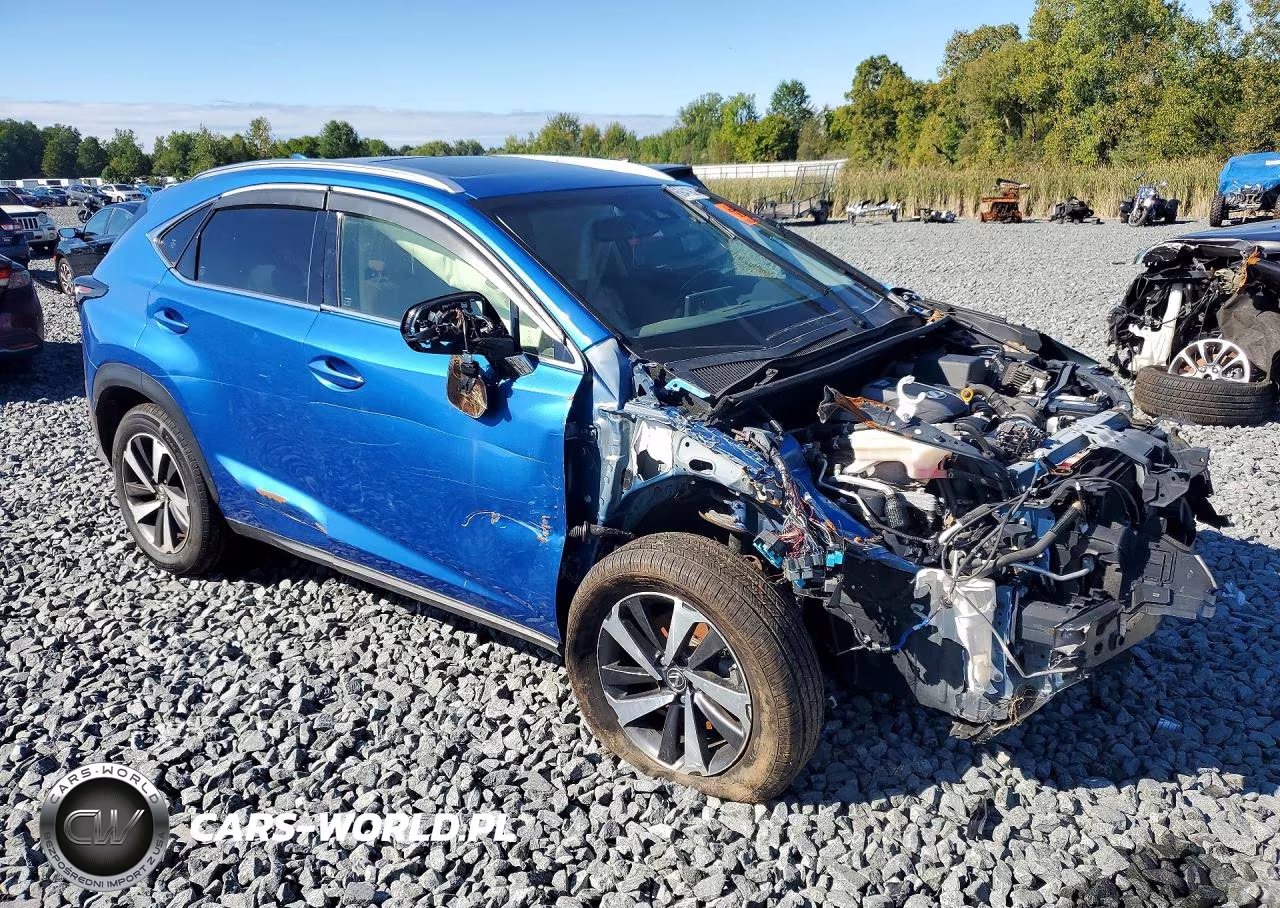 2019 Lexus Nx 300 Base VIN:JTJBARBZ6K2201105 - 4