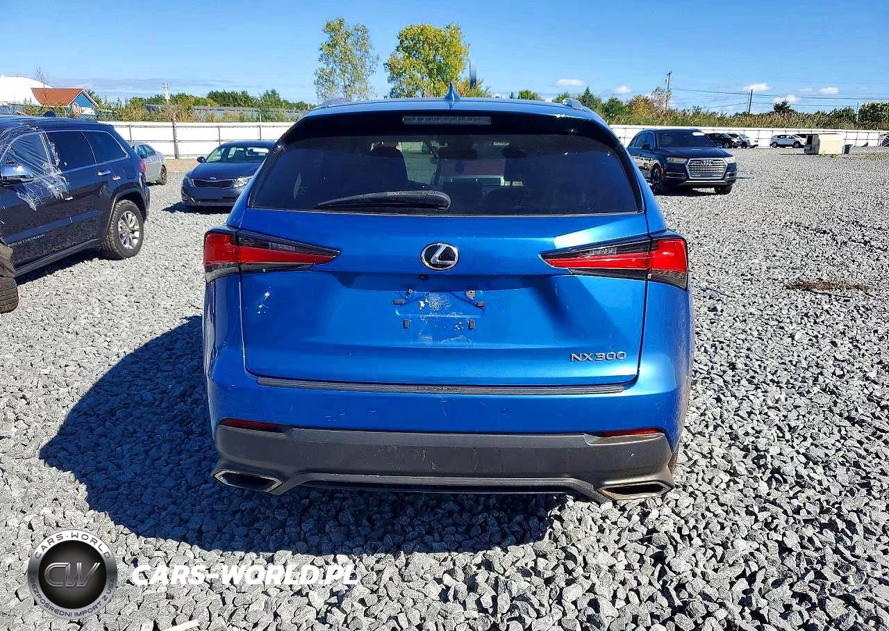 2019 Lexus Nx 300 Base VIN:JTJBARBZ6K2201105 - 6