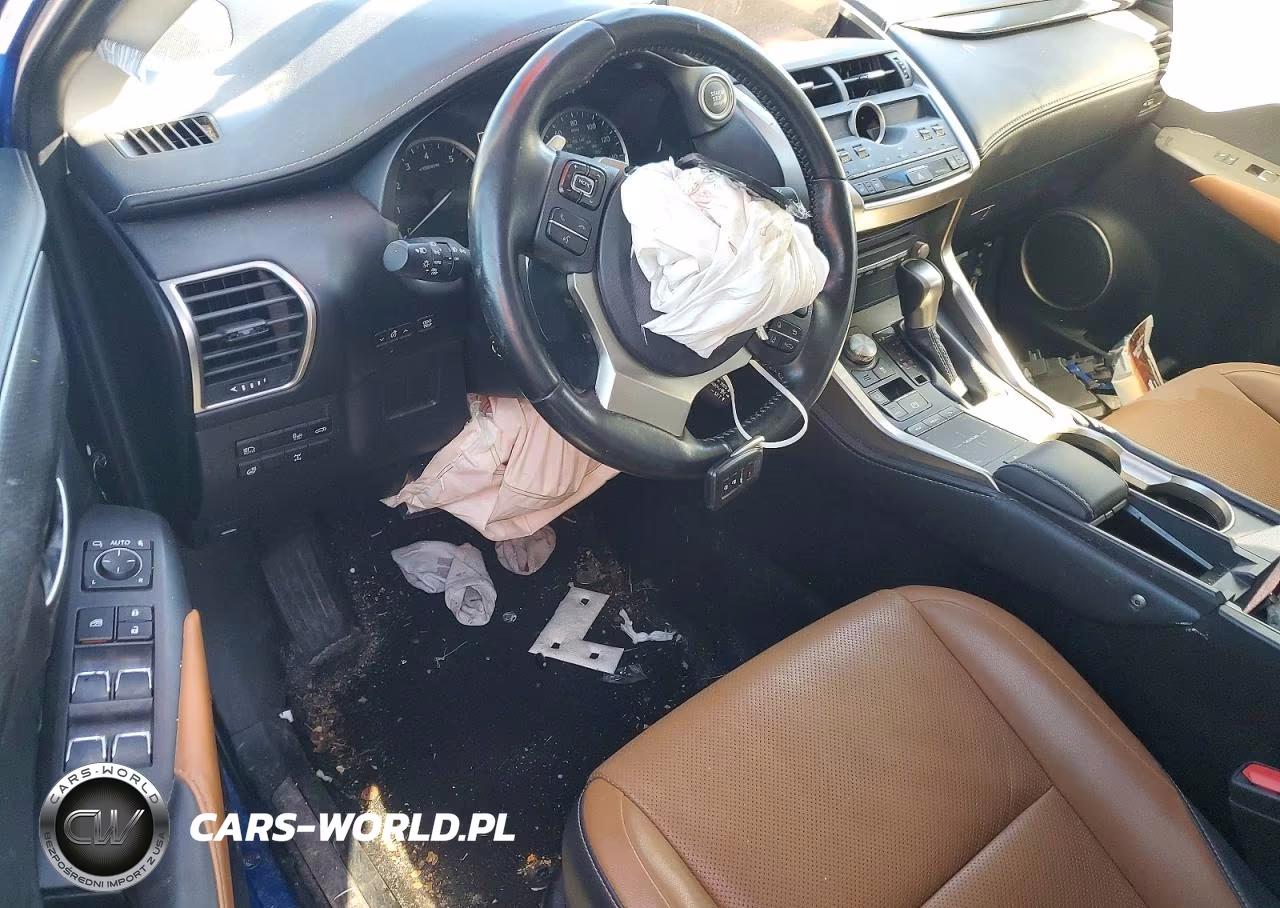 2019 Lexus Nx 300 Base VIN:JTJBARBZ6K2201105 - 8