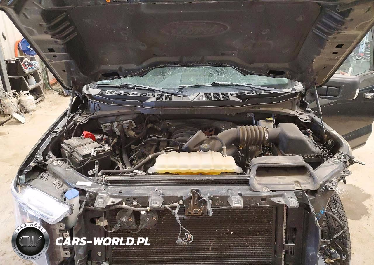 2021 Ford F150 Supercrew VIN:1FTFW1E53MKE78264 - 11