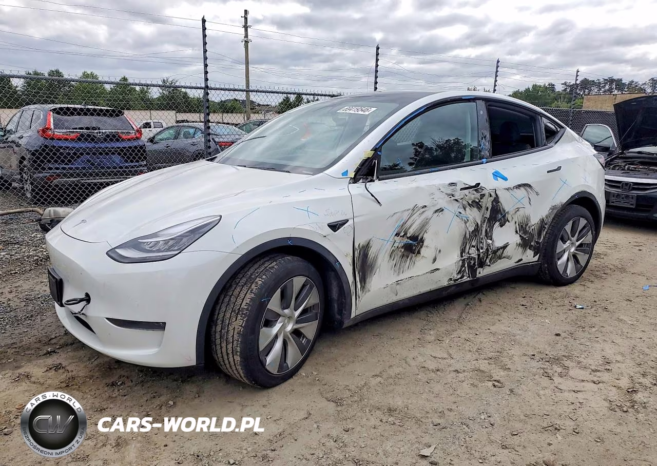2020 Tesla Model Y VIN:5YJYGDEE2LF032187 - 1