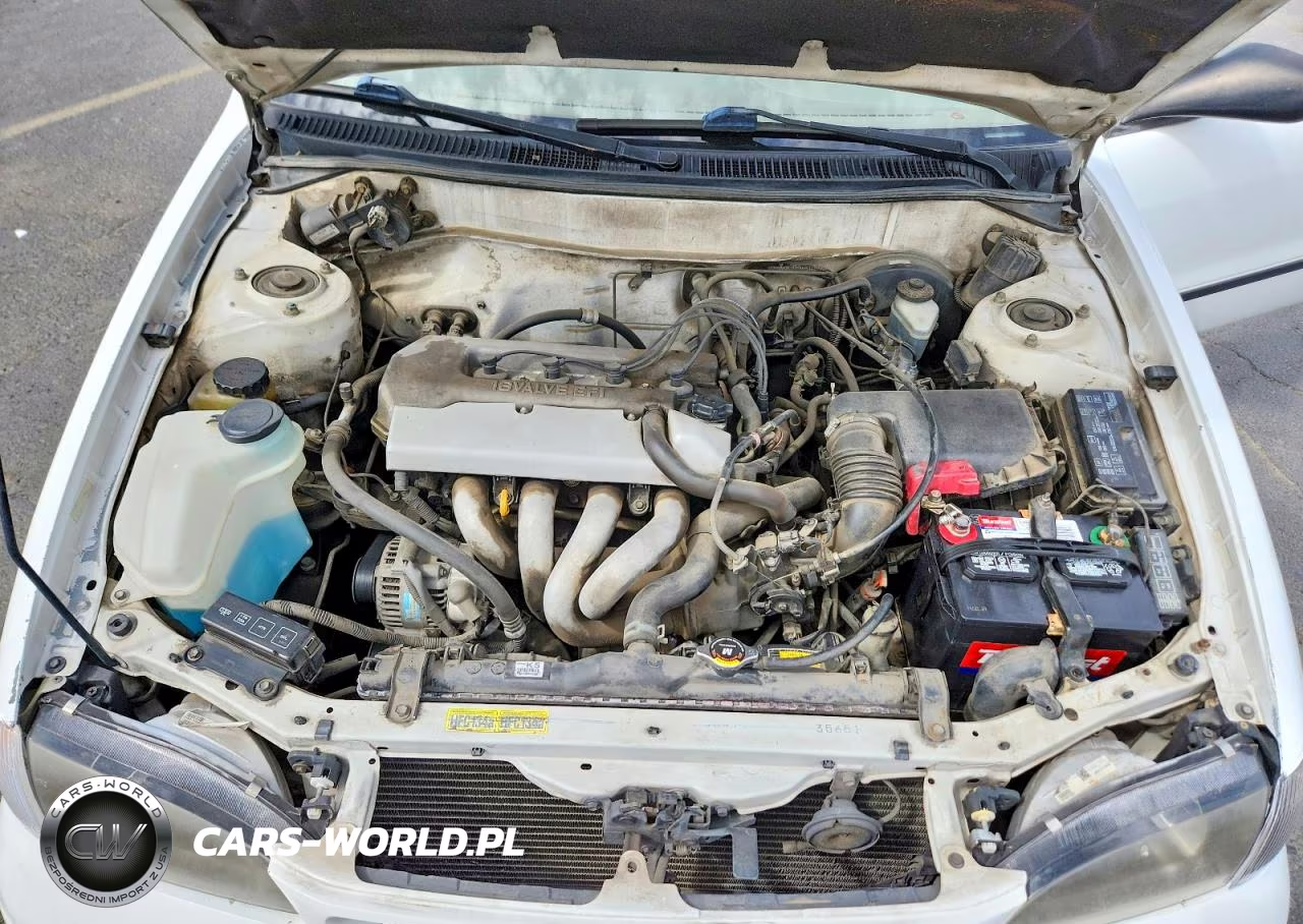 1999 Toyota Corolla Ve VIN:1NXBR12E0XZ164957 - 11