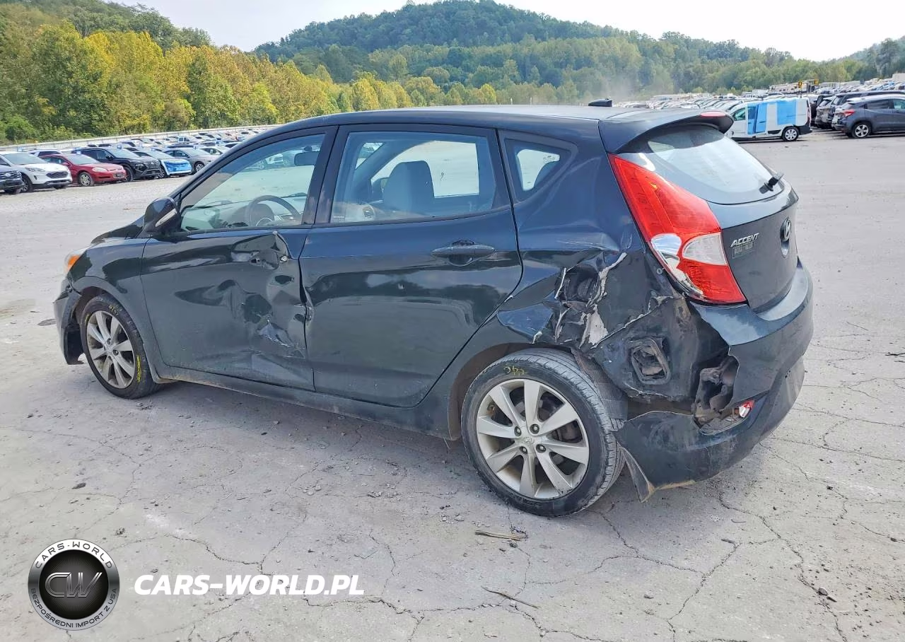 2014 Hyundai Accent Se VIN:KMHCU5AEXEU150265 - 2