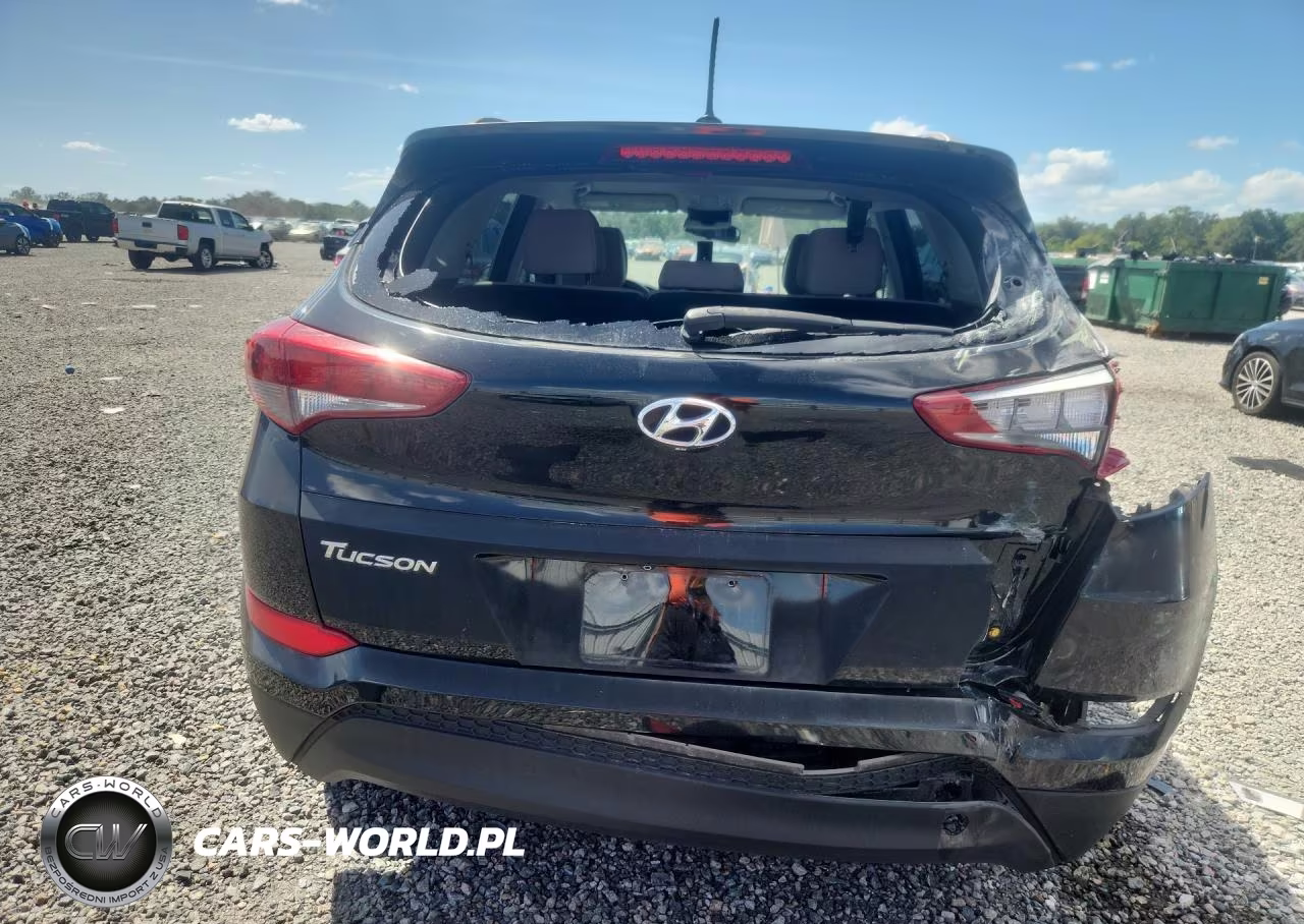 2016 Hyundai Tucson Se VIN:KM8J33A41GU145643 - 6