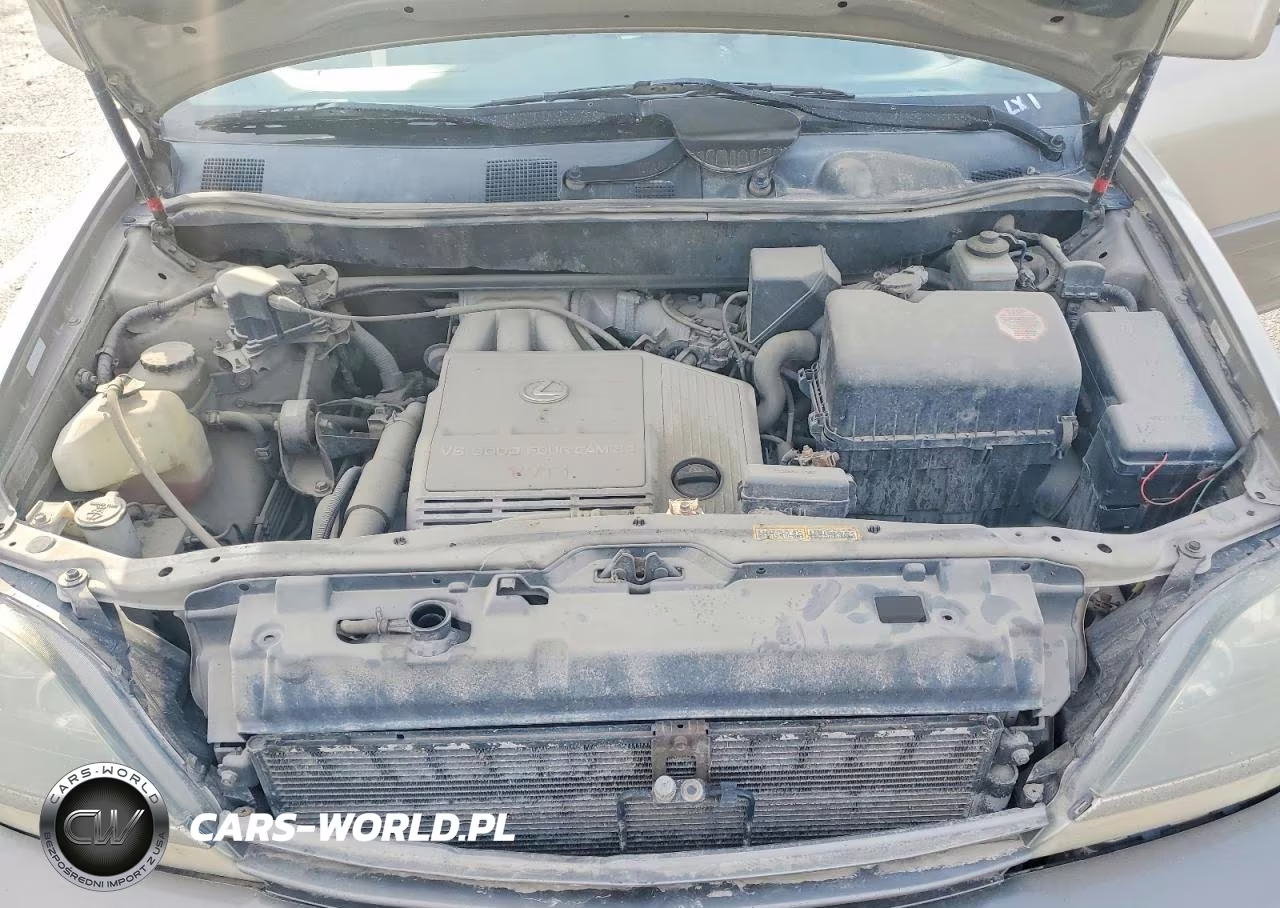 2000 Lexus Rx 300 VIN:JT6HF10U2Y0133954 - 12