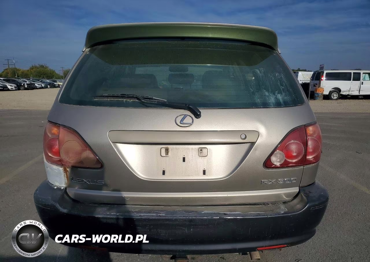 2000 Lexus Rx 300 VIN:JT6HF10U2Y0133954 - 6