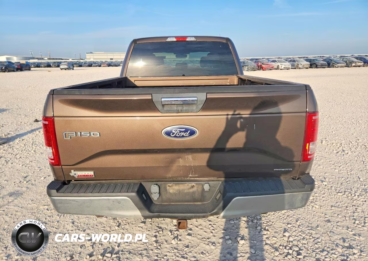 2015 Ford F150 Supercrew VIN:1FTEW1CF9FKD56955 - 6
