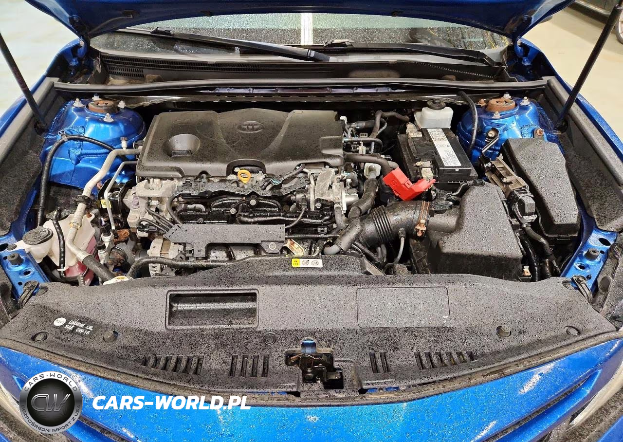 2019 Toyota Camry Se VIN:4T1B11HK8KU269615 - 11