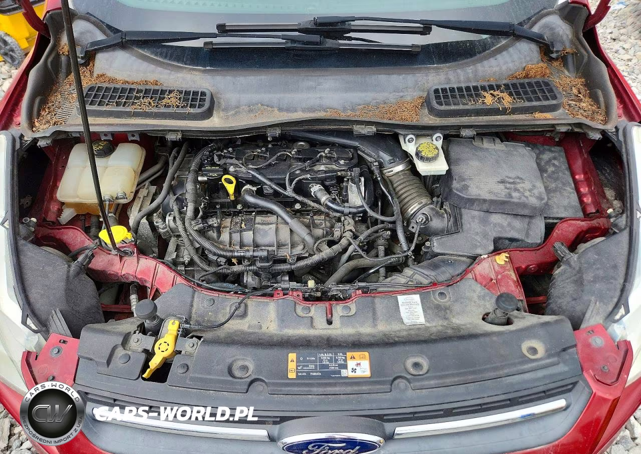 2015 Ford Escape Se VIN:1FMCU0GX6FUA16009 - 12