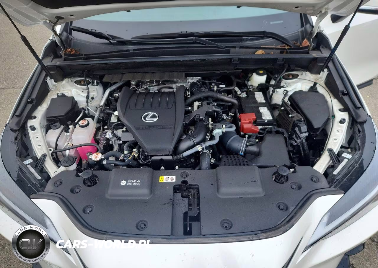 2025 Lexus Nx 350 Base VIN:2T2AGCEZ5SC083292 - 11