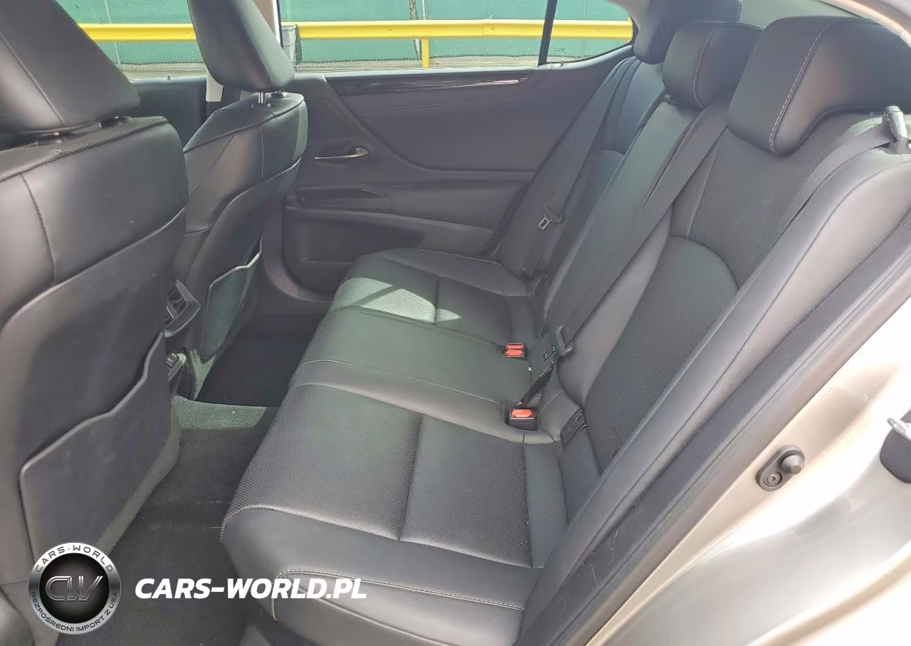 2021 Lexus Es 300H VIN:58ADA1C18MU003157 - 10